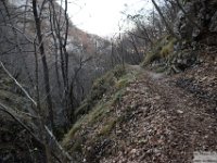 2025-12-10 Murolungo 036